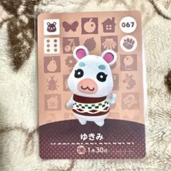 あつ森 あつまれどうぶつの森 amiiboカード ゆきみ　067