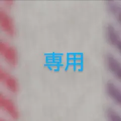 AI様専用　一番くじ爬虫類&両生類　ラストワン賞、C賞セット