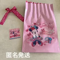 ディズニーパルパルーザ　ミニーのファンダーランド　ミニー　シール　ゴムリボン