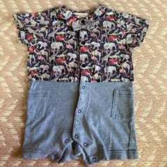 Item thumbnail for item 6f7e4fca-eb97-47ac-aa5a-220d757e44e5