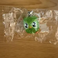 Duolingo ドュオリンゴ　めじるしアクセサリー