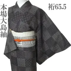 本場大島紬 着物 袷 7マルキ カタス式 泥染 裄65 M 中古 sn1978