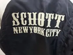 Item thumbnail for item dadc8774-7f3b-4224-b3ef-3cd87ac0ca4d