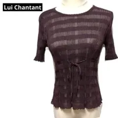 ルイシャンタン　Lui Chantant 透かしニット　半袖　ストレッチ　38のサムネイル