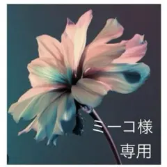 ミーコ様　専用