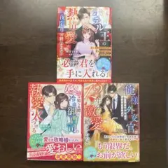 恋愛小説 ベリーズ文庫3冊セット(11月新刊)