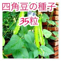 uk様 リクエスト 2点 まとめ商品