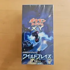2026年最新】ワイルドブレイズ 未開封boxの人気アイテム - メルカリ