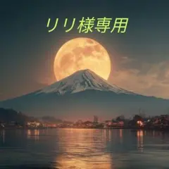 リリ様専用　龍穴風ヒーリング、シータヒーリング