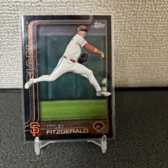 TYLER FITZGERALD 75シリ