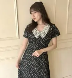 épine エピヌ　黒小花柄レースえりワンピース