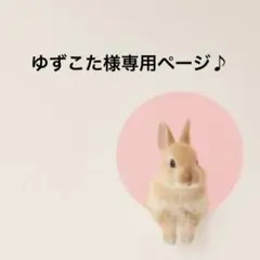 Non様 3点オーダー専用ページ - メルカリ