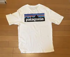 パタゴニアTシャツ