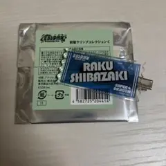 EBiDAN museum 前髪クリップ 柴崎楽