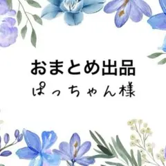ぱっちゃん様 リクエスト 5点 まとめ商品