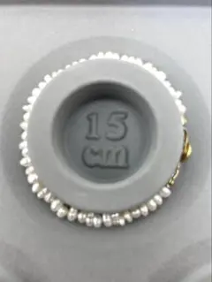 Item thumbnail for item 110b8714-1343-4b72-9b4e-03a157cd2c45