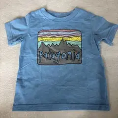 patagonia 水色 Tシャツ 山デザイン