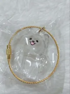 わんこのタイムカプセル ラテ