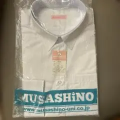 Item thumbnail for item fb7b16a0-ae7c-44ad-b630-4731bd70cfbe