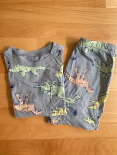 GAP セットアップ　恐竜のサムネイル