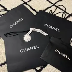 CHANEL シャネル ショップ袋