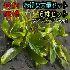 huskyvoice様 リクエスト 3点 まとめ商品