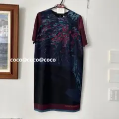 Item thumbnail for item ee140cd1-fa6c-4012-be2b-2fdb38fb496a