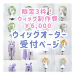 受付中】ウィッグオーダー 3500円〜 - メルカリ