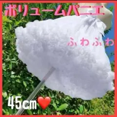 Item thumbnail for item 678d22cd-55ed-4d17-9355-8624a2ad0f5c