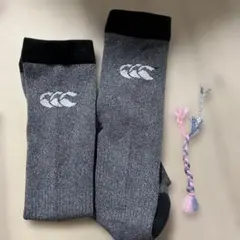 Item thumbnail for item 4ce69862-5036-428b-a508-f8ada6ad6f81