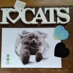 土日限定　猫 ステッカー　CATS プレート　インテリア　　　　　　FC259E