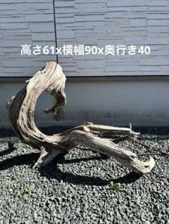 2026年最新】水槽 流木 特大の人気アイテム - メルカリ