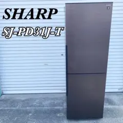 2026年最新】sj-pd31の人気アイテム - メルカリ