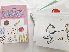フラッシュカード 知育玩具