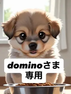 dominoさま専用