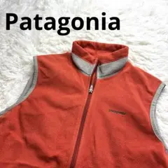 ◾︎Patagonia フライヤーベスト