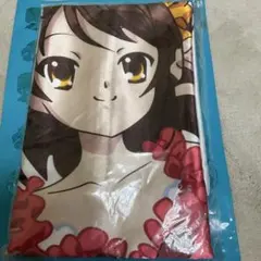 正規品】Wake Up, Girls！ 描き下ろし抱き枕カバー片山実波 - メルカリ