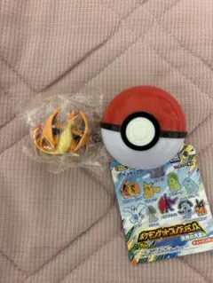 ポケモンゲットコレクションズ メガリザードンY モンスターボール付き
