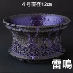 螺旋〜Lime〜 4号直径12㎝ 3dプリンター鉢 作家鉢 アガベ - メルカリ