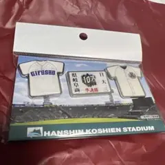 第107回全国高校野球選手権大会　準決勝　県岐阜商VS日大三　ピンバッジセット