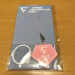 seventeen FC継続特典