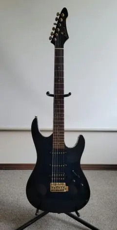 AriaProⅡ アリア ARIA magna series マグナシリーズ アリアプロ2 マグナシリーズ Aria proⅡ MAGNA series※31 アリア