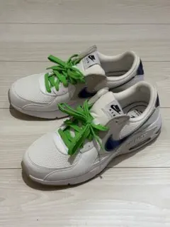 Item thumbnail for item 64b0f872-d32f-41bb-875d-552ff55d53b1