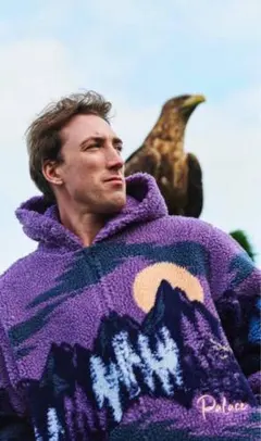 palace skateboards Nike sb FTC DIME HUF