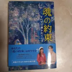 魂の約束 すべては導かれている