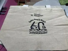 Item thumbnail for item 47cee3c0-346a-42a5-b594-ebdc859246ee