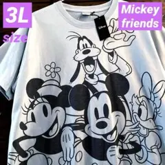ミッキーマウス♡ミニーマウス♡デージー♡ドナルド♡プルート♡ミッキーフレンズ♡のサムネイル