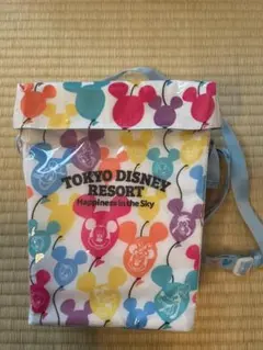 東京ディズニーリゾート バッグ ミッキー