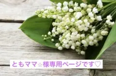 ともママ⭐︎様専用ページです♡