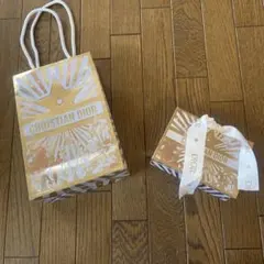 DIOR ディオール 2025 ホリデー限定 ショップ袋 ショッパー